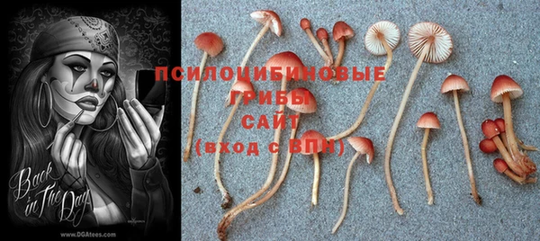 герыч Алексин